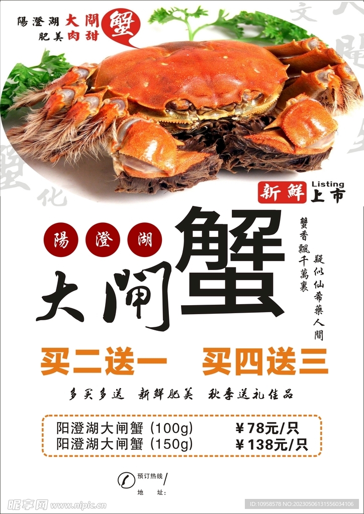 阳澄湖大闸蟹设计图__图片素材_其他_设计图库_昵图网