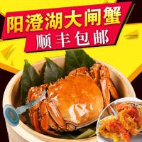 苏州官方阳澄湖镇大闸蟹鲜活特大螃蟹公4.0全母蟹3.0现货礼盒装