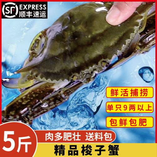 梭子蟹鲜活冷冻特大连云港发货2两 2斤【6-9只梭子蟹】