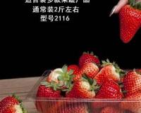 如何选购最鲜美的阳澄湖大闸蟹批发货源